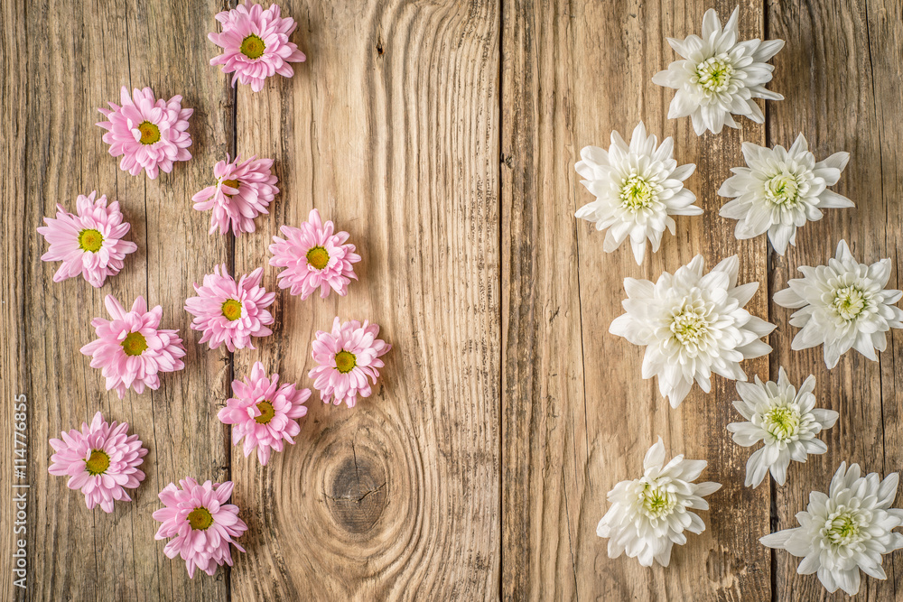 White and pink  flowers on the wooden background