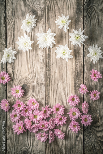 Frame of white and pink flowers on the wooden background vertical