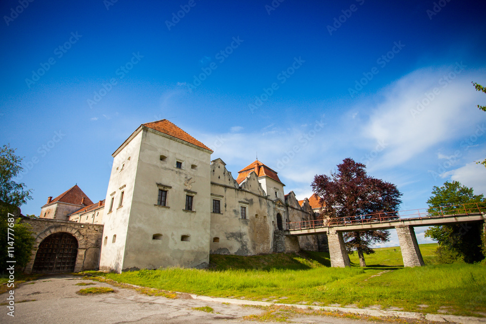 Old castle surrounded with summer nature