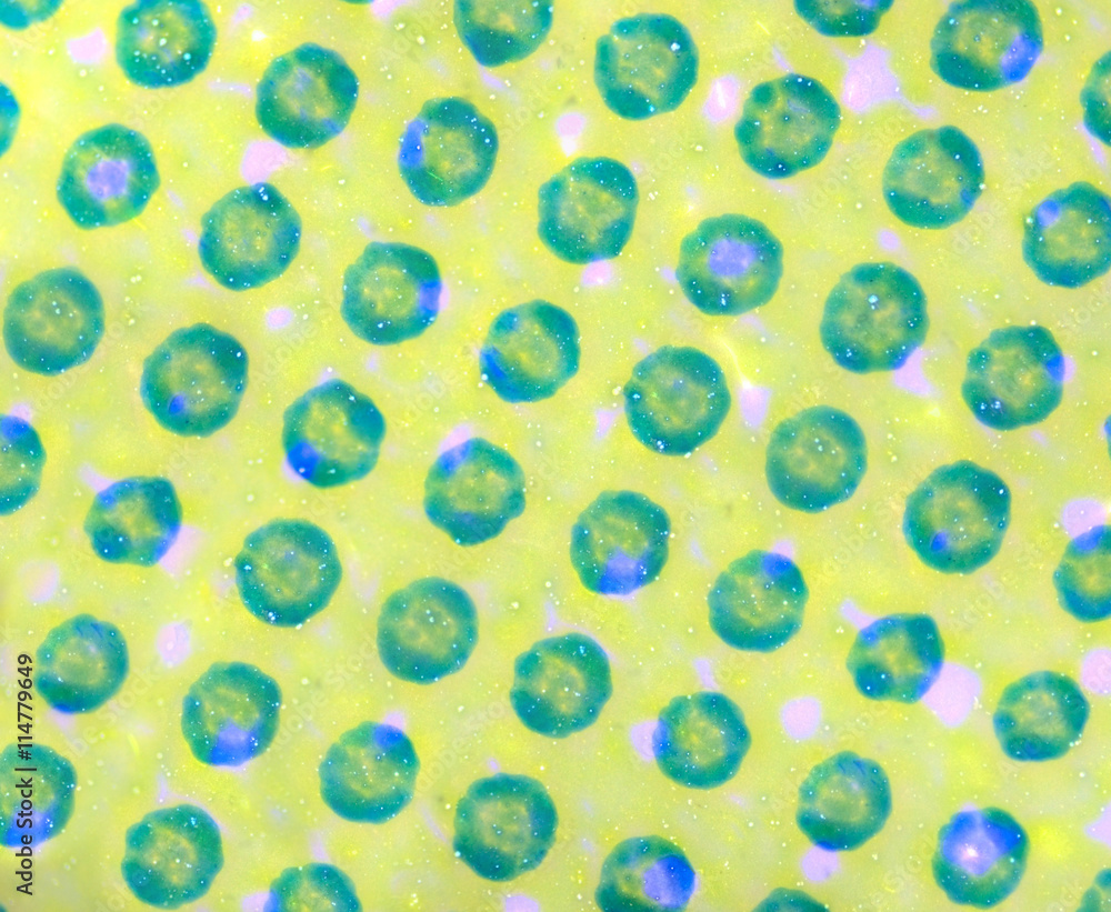 Transmitted light microscopy image of a colored foil Transmitted light microscopy image of a colored foil