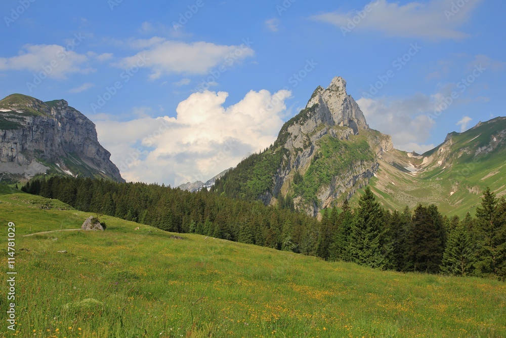 Mountain of the Alpstein Range in summer