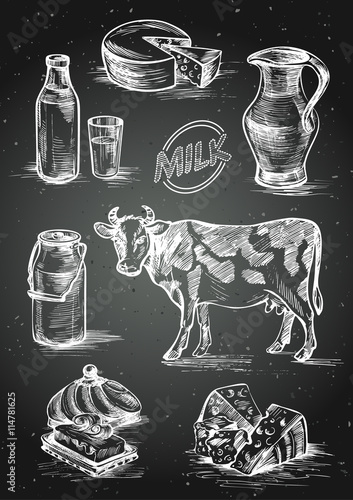 Set of images of dairy products. Cow, butter, bottle and a glass of milk, cheese head, slices, milk can, jar and label. Hand drawn chalk on blackboard vector illustration. 