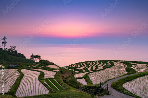 白米千枚田の夕景 photo