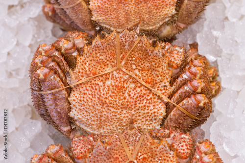 Fresh hairy crab or kegani in japanese market, selective focus