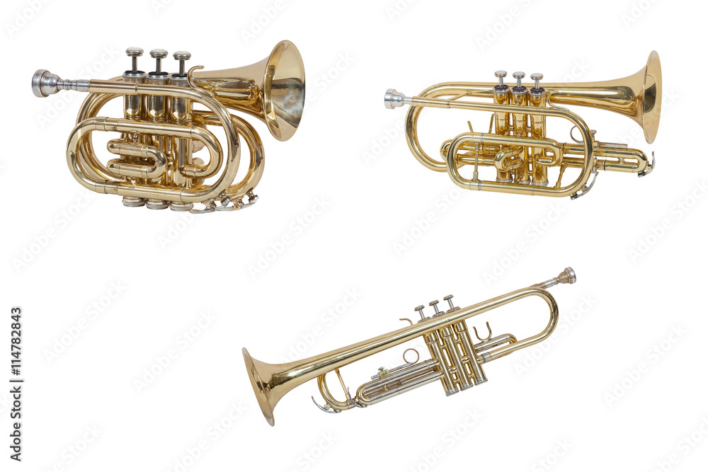 Obraz premium classic brass instrument cornet trumpet isolated on white background
