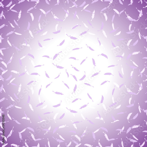 Romantic background with feathers