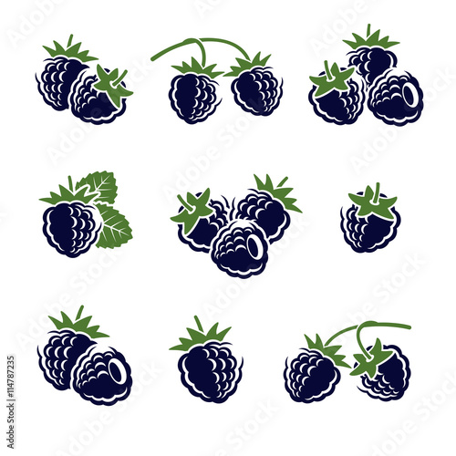 Blackberry set. Vector