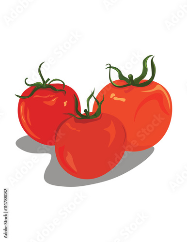 Fresh Tomatoes abstract illustration. Vector