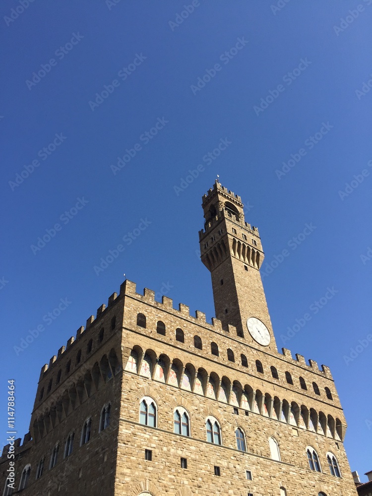 Palazzo vecchio in Piazza della signoria, Firenze, Toscana