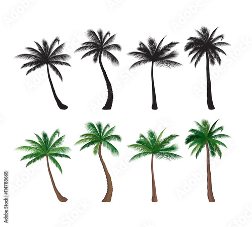 Palm tree set Nature floral design elements Tropical plant trees flat colorful design and black silhouette collection