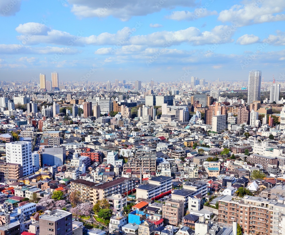 Fototapeta premium Tokio, Japonia