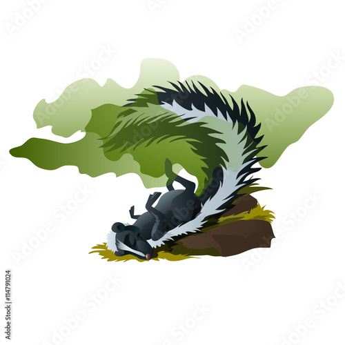 Funny skunk sleeps and exudes stinking smell