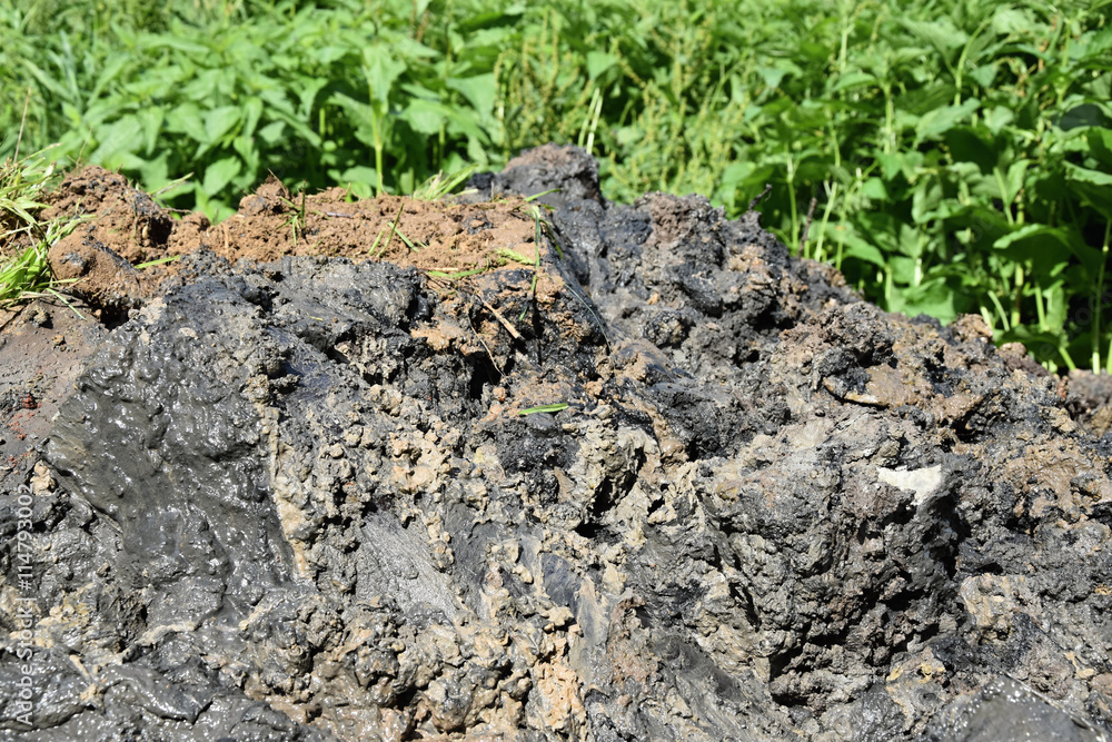 Spillage pile of wet mud Spillage pile of wet mud
