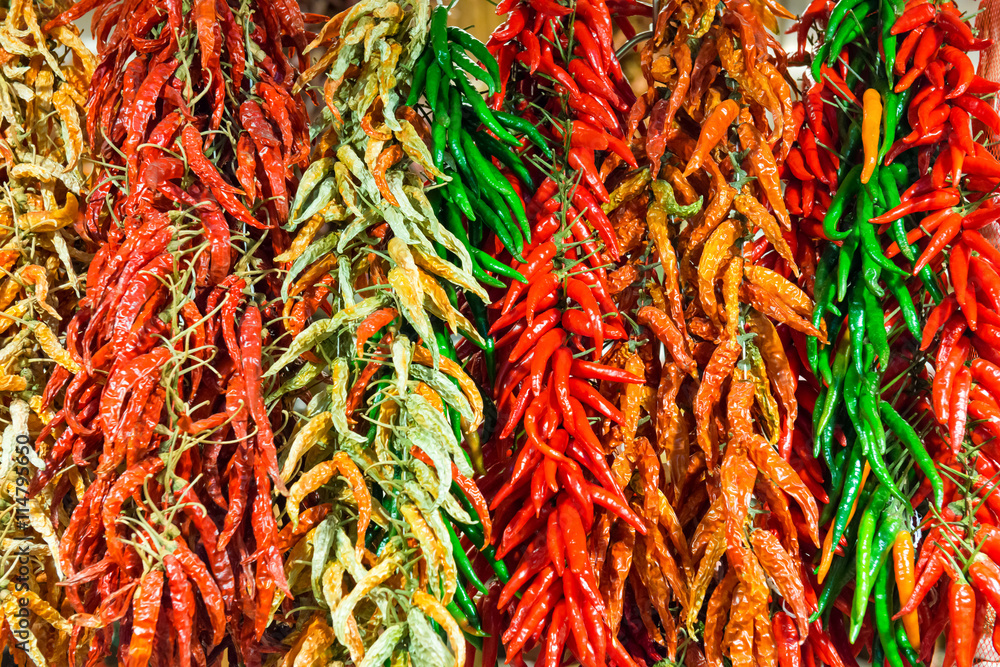 Fototapeta premium Red and green hot chilly peppers