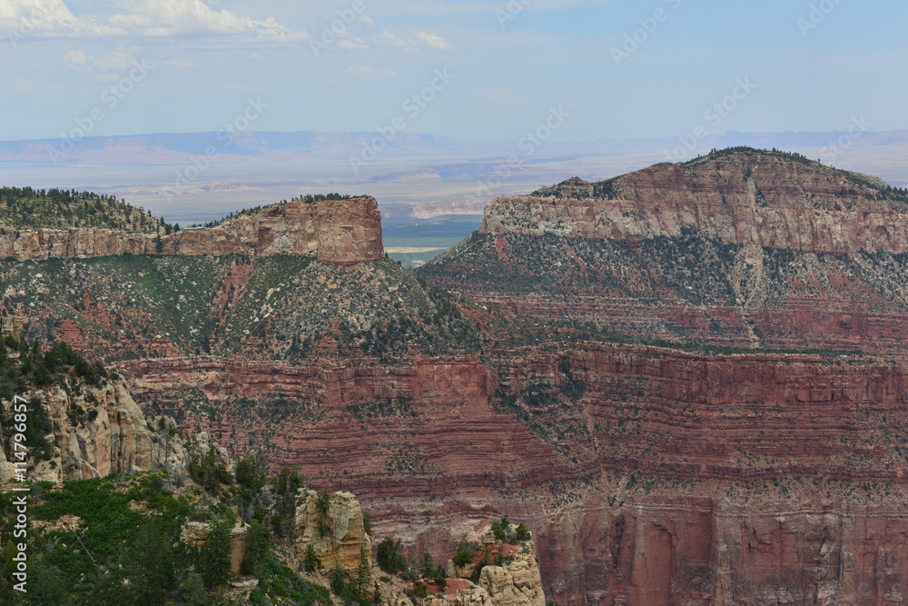 The North Rim of the Grand Canyon in June 2016