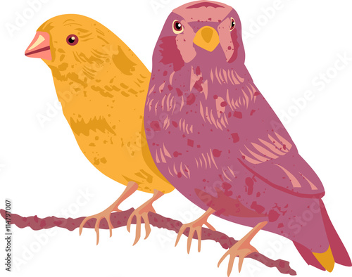 Victorian couple of birds, golden yellow and purple, vector draw