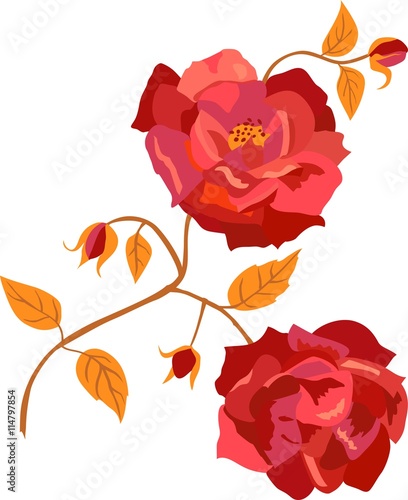 Vintage style vector red roses with golden leaves