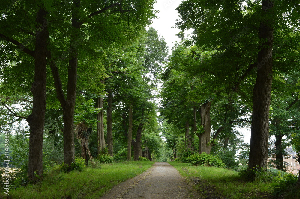 Naklejka premium laan bij kasteel Huize Berg 