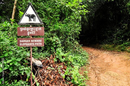 Danger beware elephants path signal in Angor, Siem Reap, Cambodia