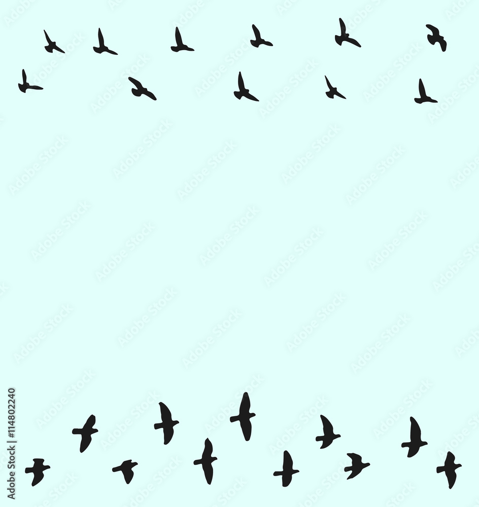 Fundo com bando de pombos em grupo superior e inferior