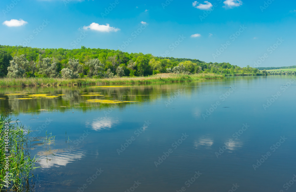 Simple tranquil landscape on a summer lake