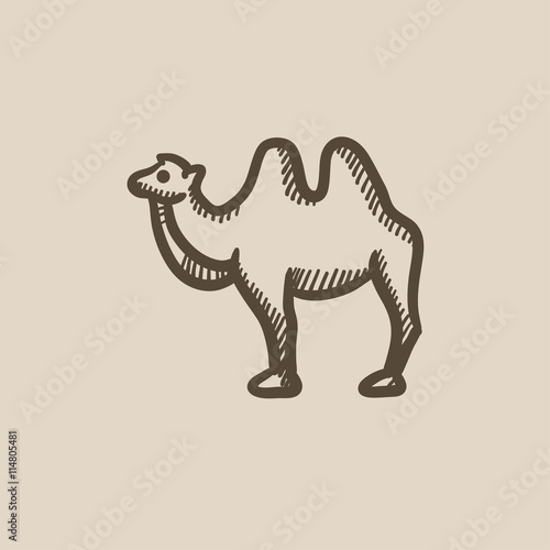 Camel sketch icon.