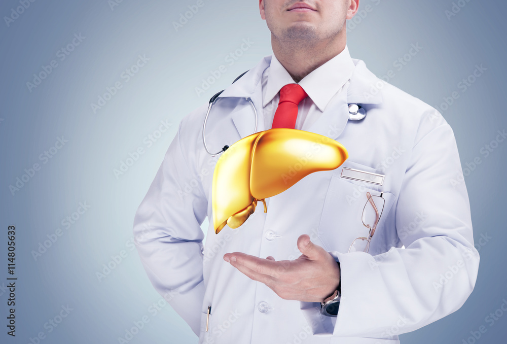 Doctor holding golden human organs on the hands on grey background . High resolution. Doctor holding golden human organs on the hands on grey background . High resolution.