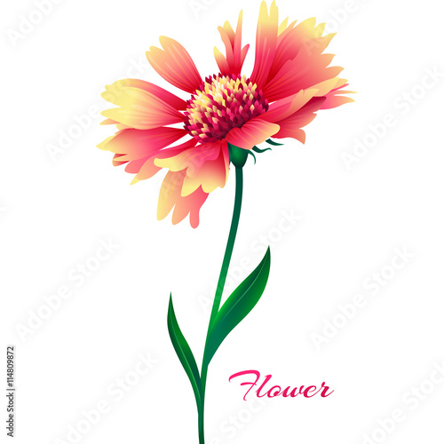 Realistic pink vector flower.