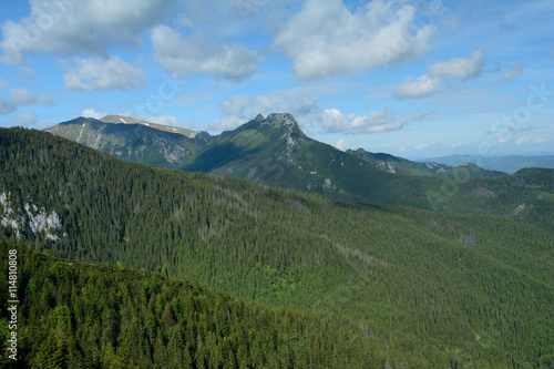 Jaworzynka valley, forest and Giewont peak