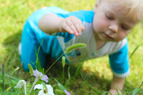 Valokuva Baby crawling and exploring flowers