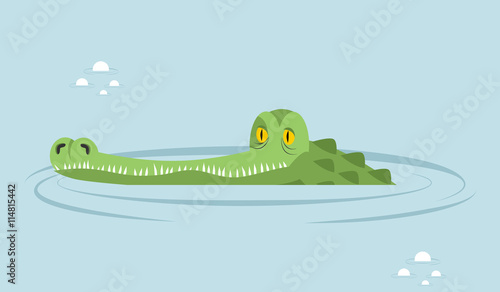 Crocodile in water. large alligator in swamp. Cute caimans head
