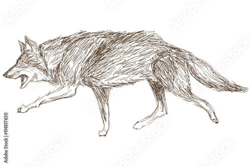 wolf running sketch icon