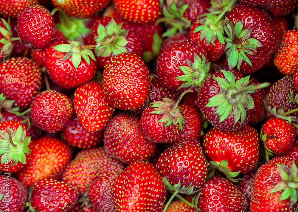 Strawberry - full frame Strawberry - full frame