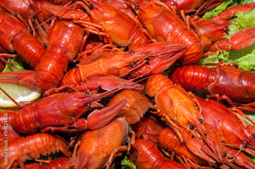 Boiled crawfish with beer