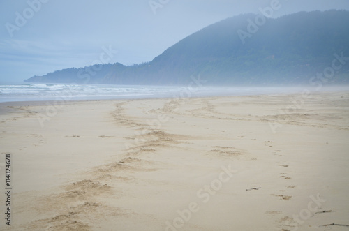Horse Tracks on the Beach © cmbankus