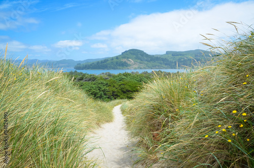 The path to Nehalem Bay