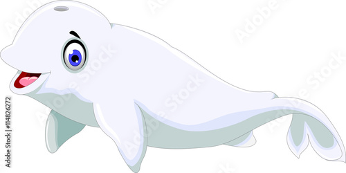 cute dolphin cartoon posing