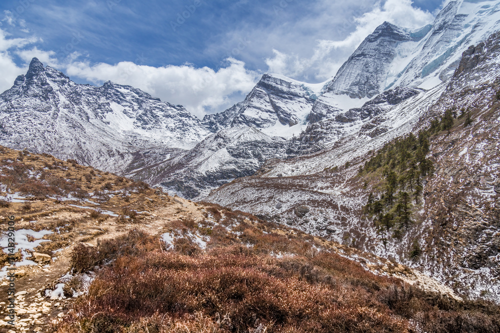 autumn landscape in forest and mountains autumn landscape in forest and mountains