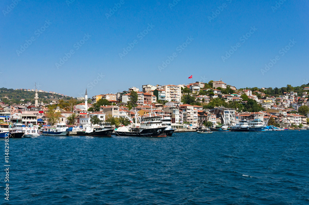 Istanbul outer suburb and pier with national flag on a clear day. Urban skyline with copy space