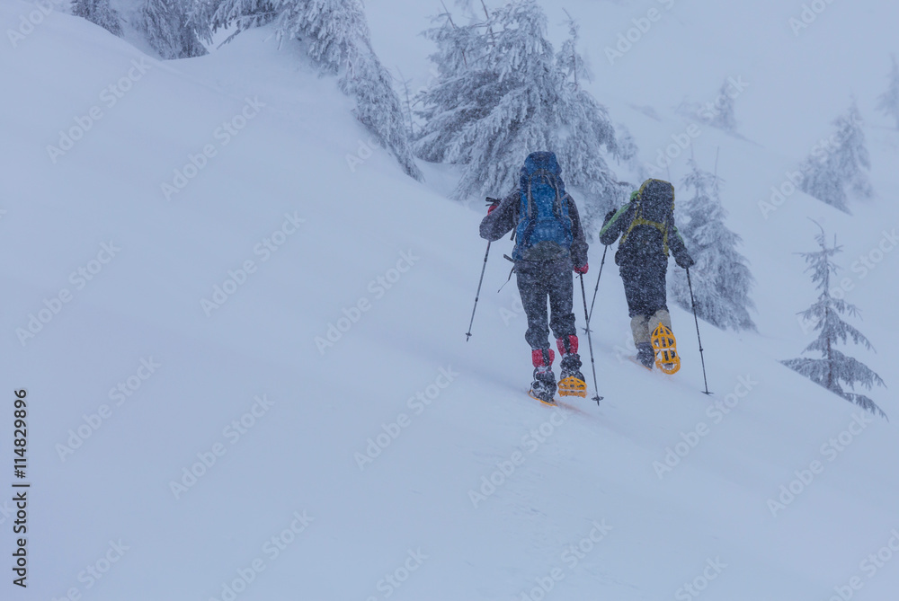 Winter hike