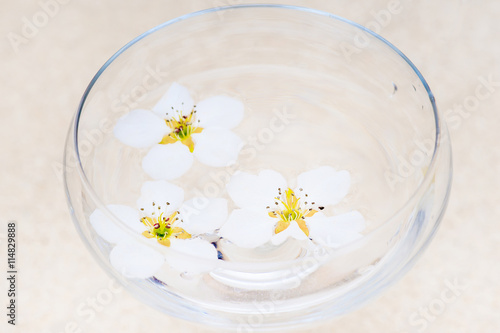 white flowers floating in a glass