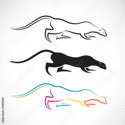 Vector image of an cheetah design on white background. Vector ch