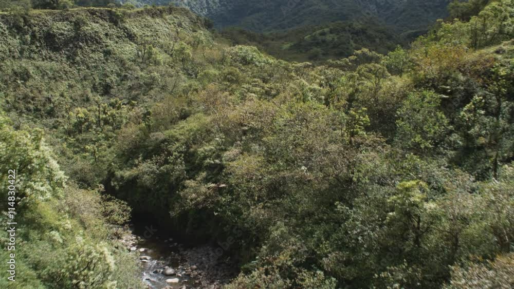 Up a narrow valley on Molokai Up a narrow valley on Molokai