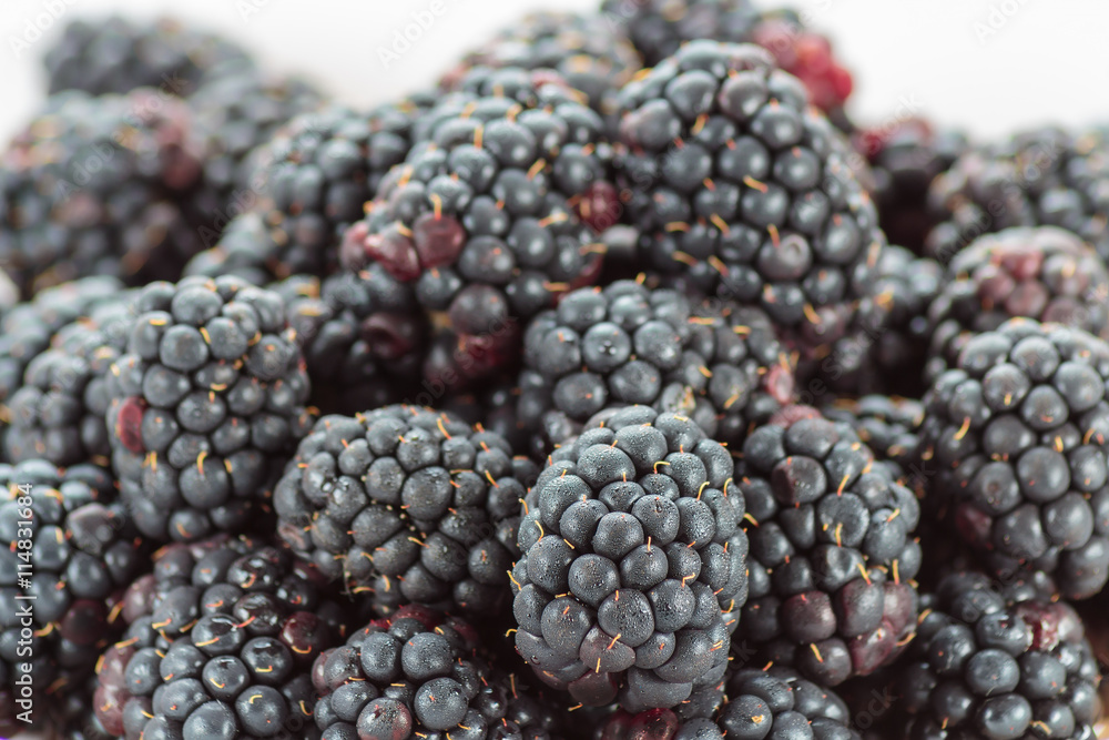 Fresh ripe blackberries close up Fresh ripe blackberries close up