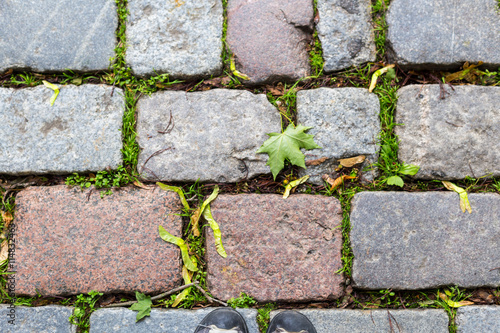 Woman leg standing at old gray pavement with green growing grass and leaf