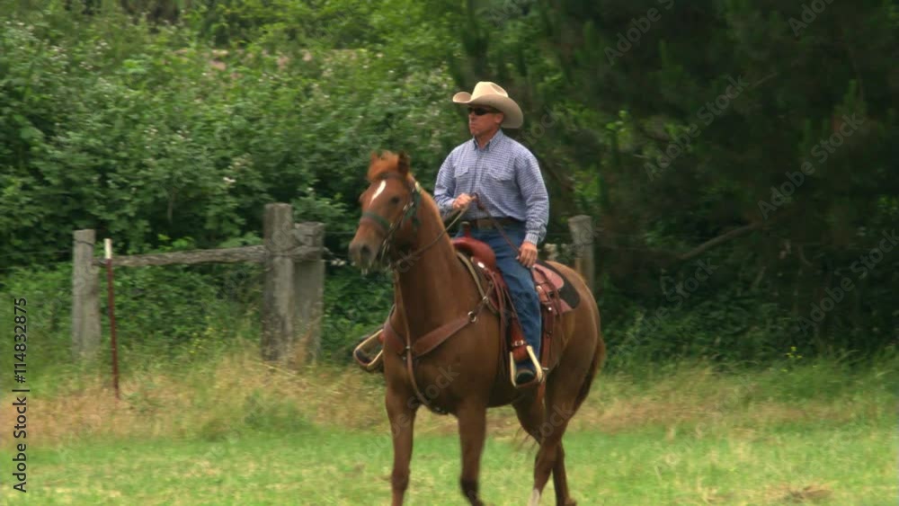 Cowboy on a sorrel horse trotting toward camera, turning side-on facing left Cowboy on a sorrel horse trotting toward camera, turning side-on facing left