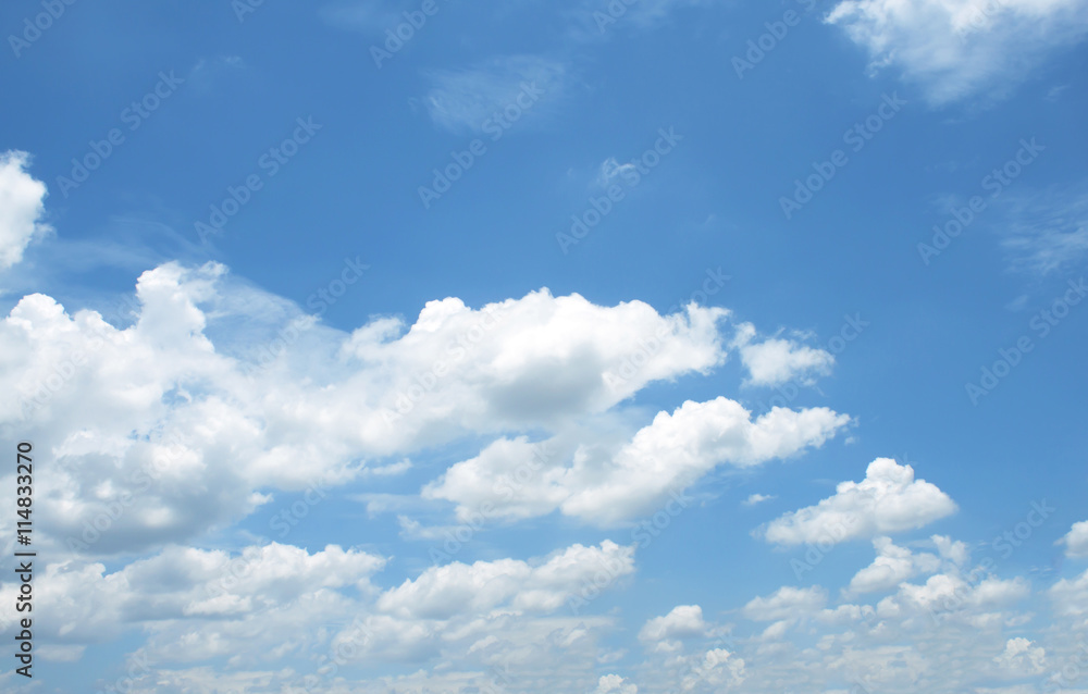 Fototapeta premium blue sky