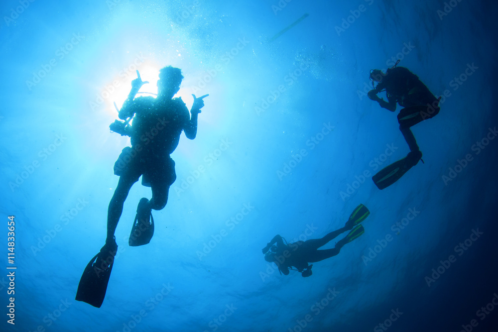 Scuba diving: group of divers silhouette with sun
