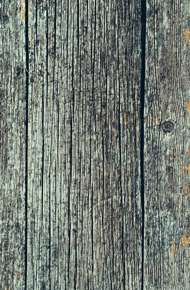 Fototapeta premium Old texture of wood background closeup