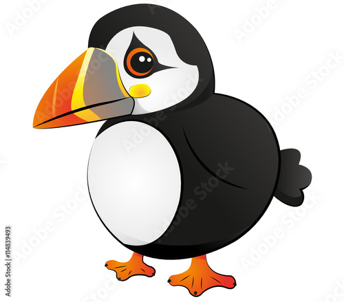Papageitaucher - Puffin